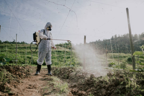 Best Local Pest Control Services  in Mount Sterling, KY