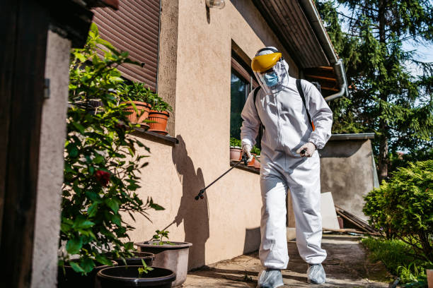 Best Pest Removal Services  in Mount Sterling, KY