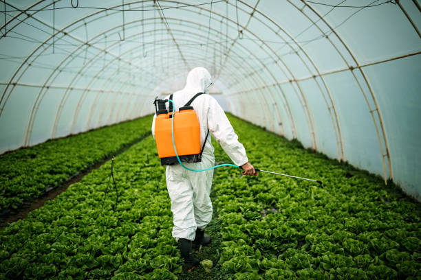 Best Pest Removal Services  in Mount Sterling, KY