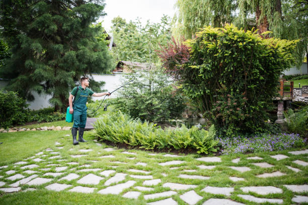 Best Wasp Removal Services  in Mount Sterling, KY