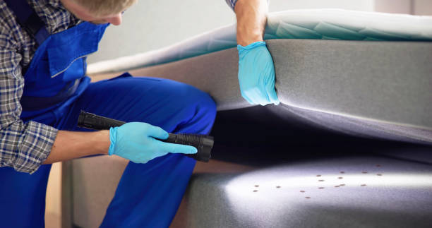 Best Emergency Pest Control  in Mount Sterling, KY