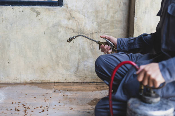 Best Pest Prevention Services  in Mount Sterling, KY