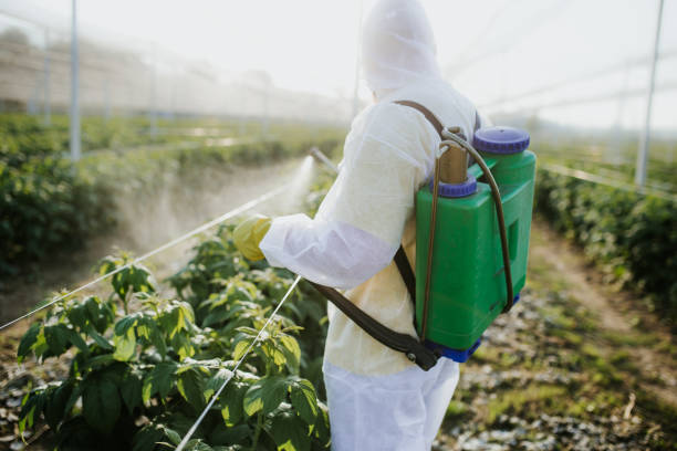 Best Commercial Pest Control Services  in Mount Sterling, KY
